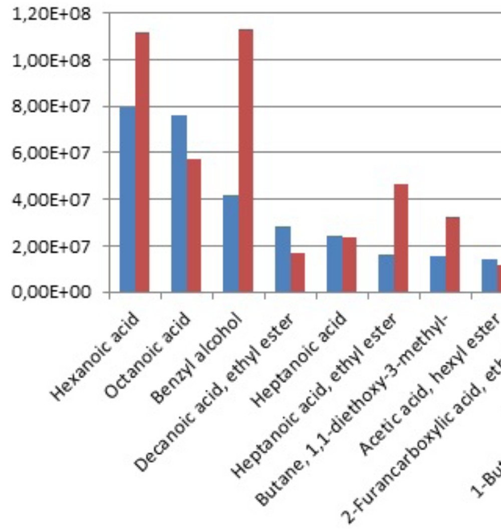 Paper examined under laboratory conditions