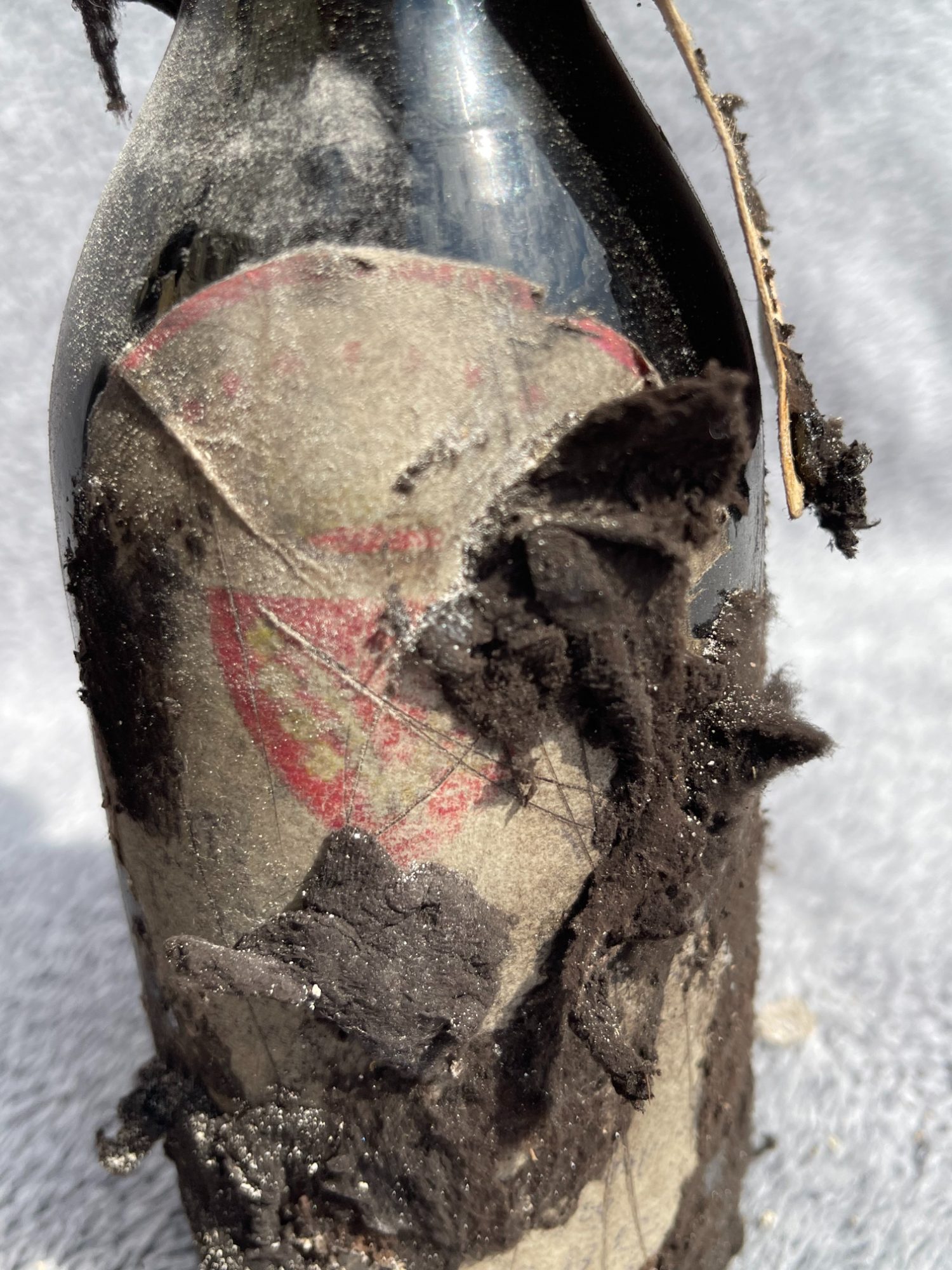 Bottles binned along a Tokaj cellar wall, furred with black mould