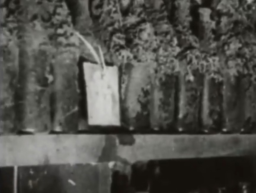A row of bottles in the Hetman cellar, furred with mould, one carrying a clean paper neck tag