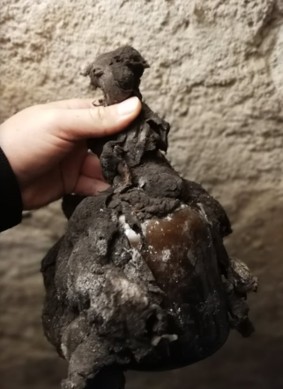 Bottle lifted from a cellar, its glass and neck wrapping entirely furred with black mould