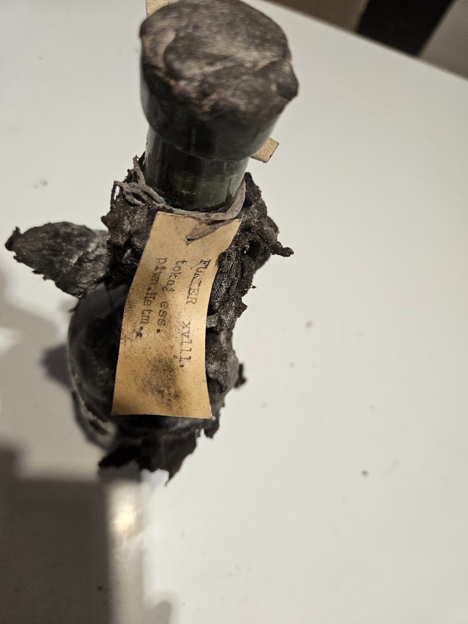 Four bottles painted 1861, their necks thick with cellar mould