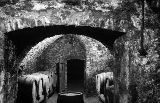 The Fukier cellar in 1935, photographed by Koneczny