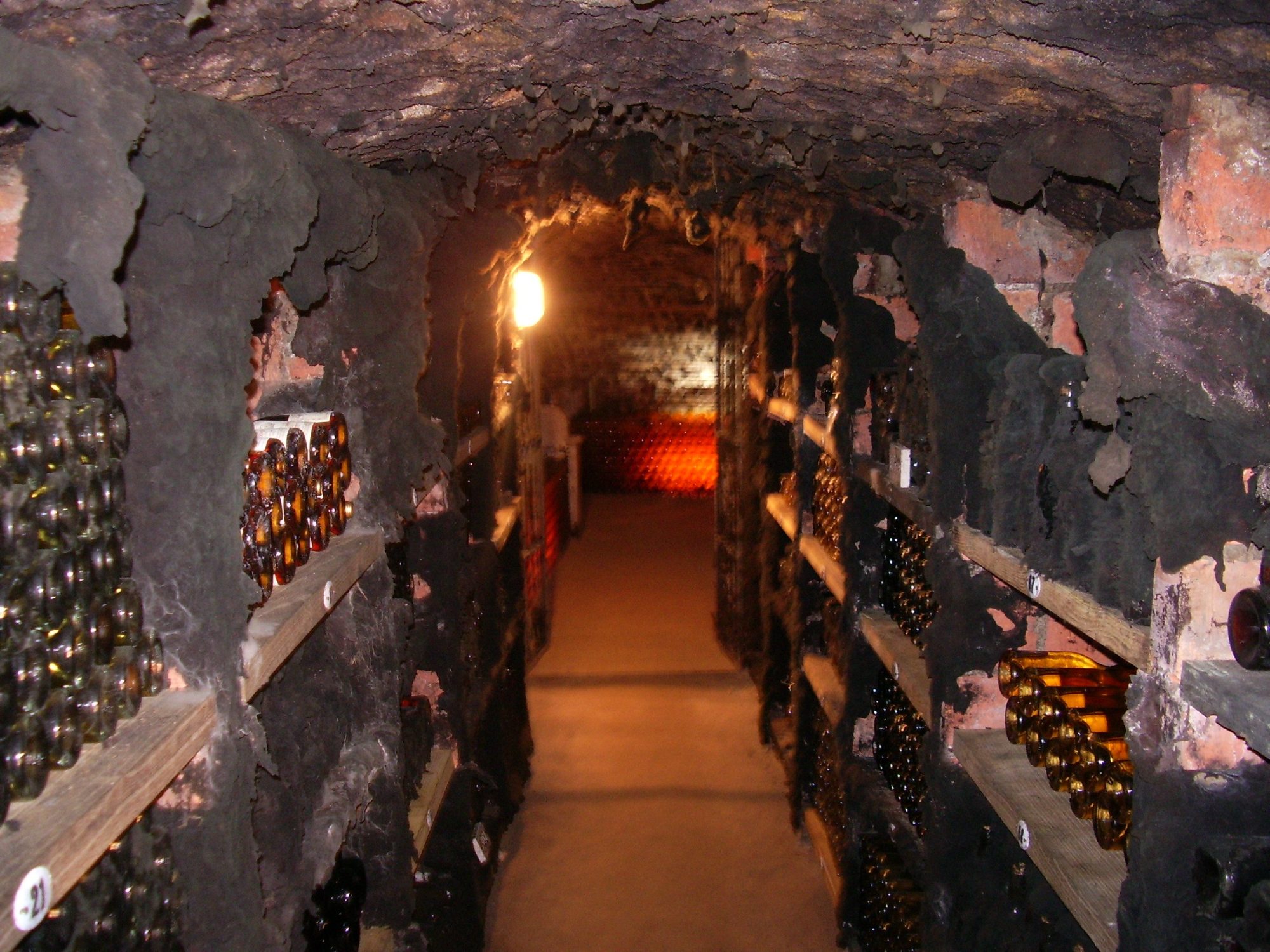 A mould-lined cellar corridor with racked bottles