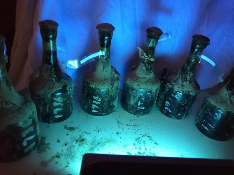 Bottles under ultraviolet light, the painted vintage years fluorescing