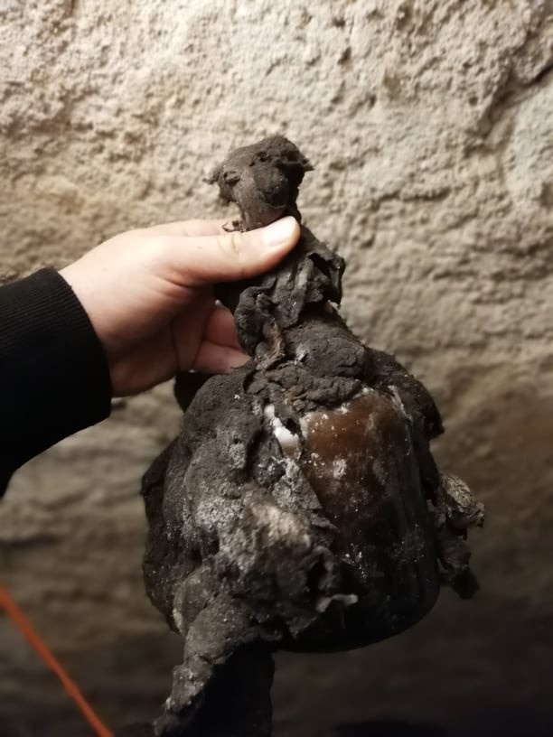 The bottle lifted in the cellar, wrapped and entirely covered in black mould