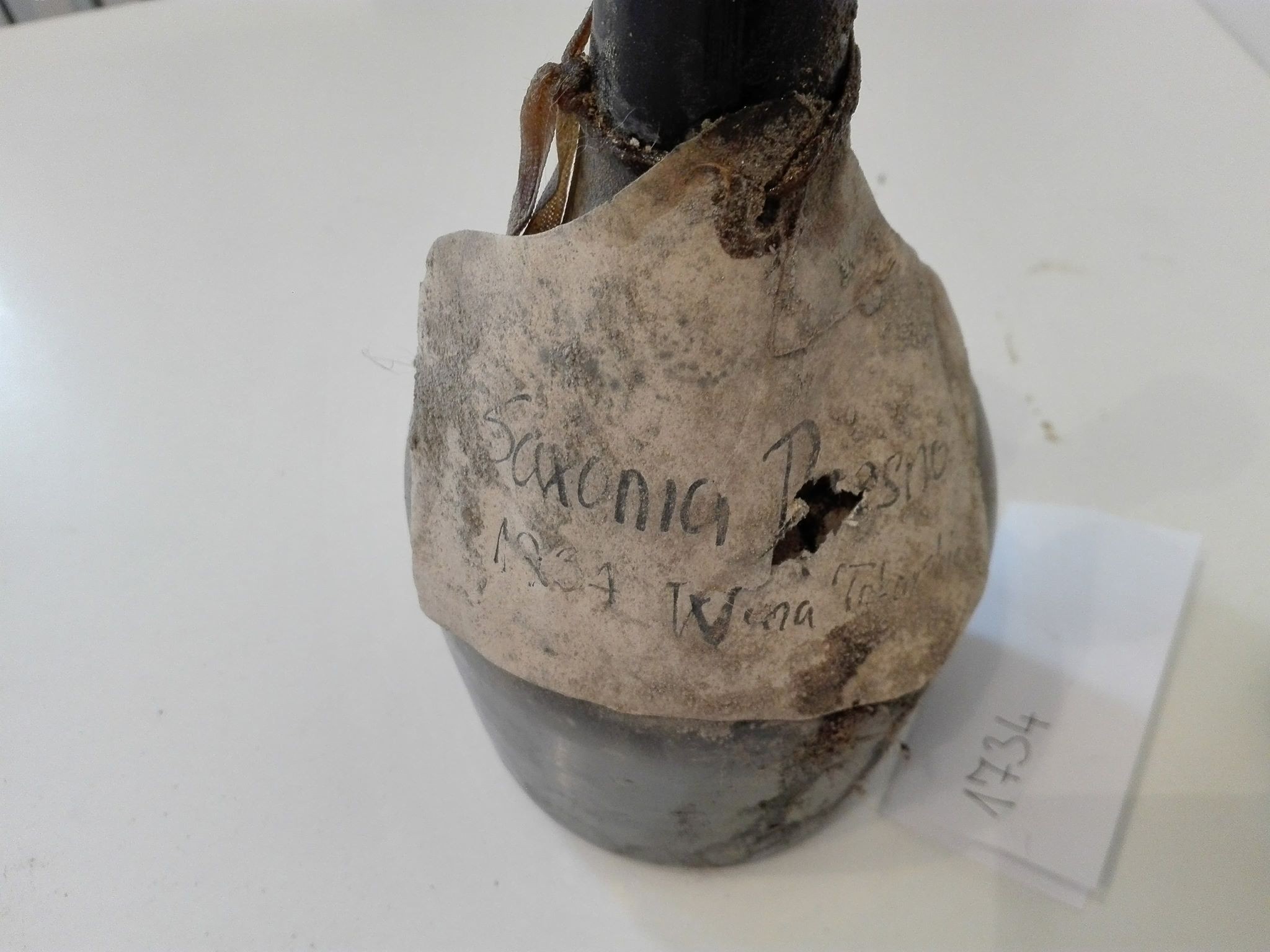 The parchment label inscribed Saxonia Presno, 1734, Wina Tokardie