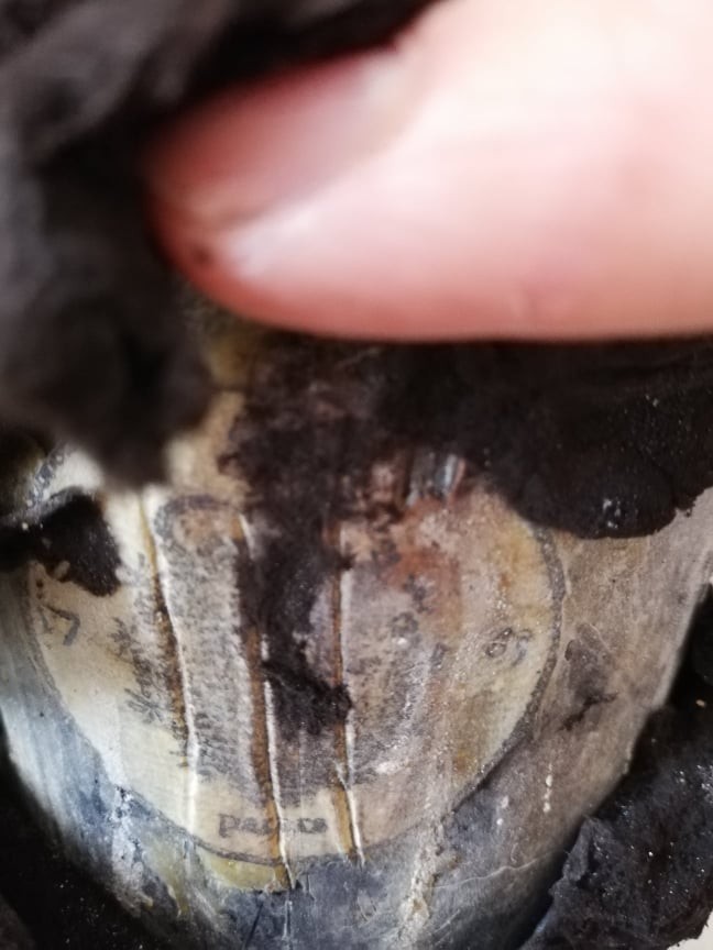 The bottle standing, encased in a thick black crust of cellar mould