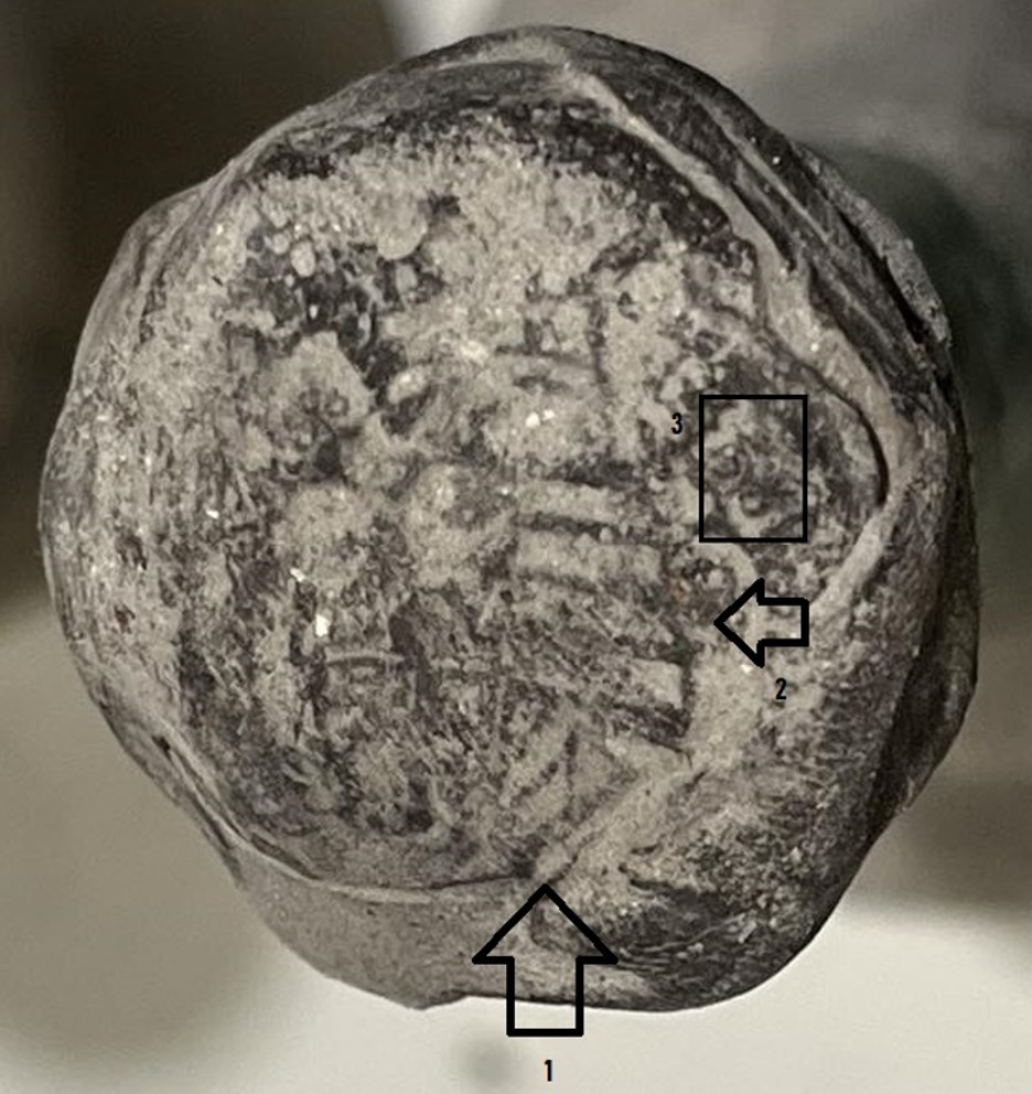The wax seal on the neck of the 1811 bottle