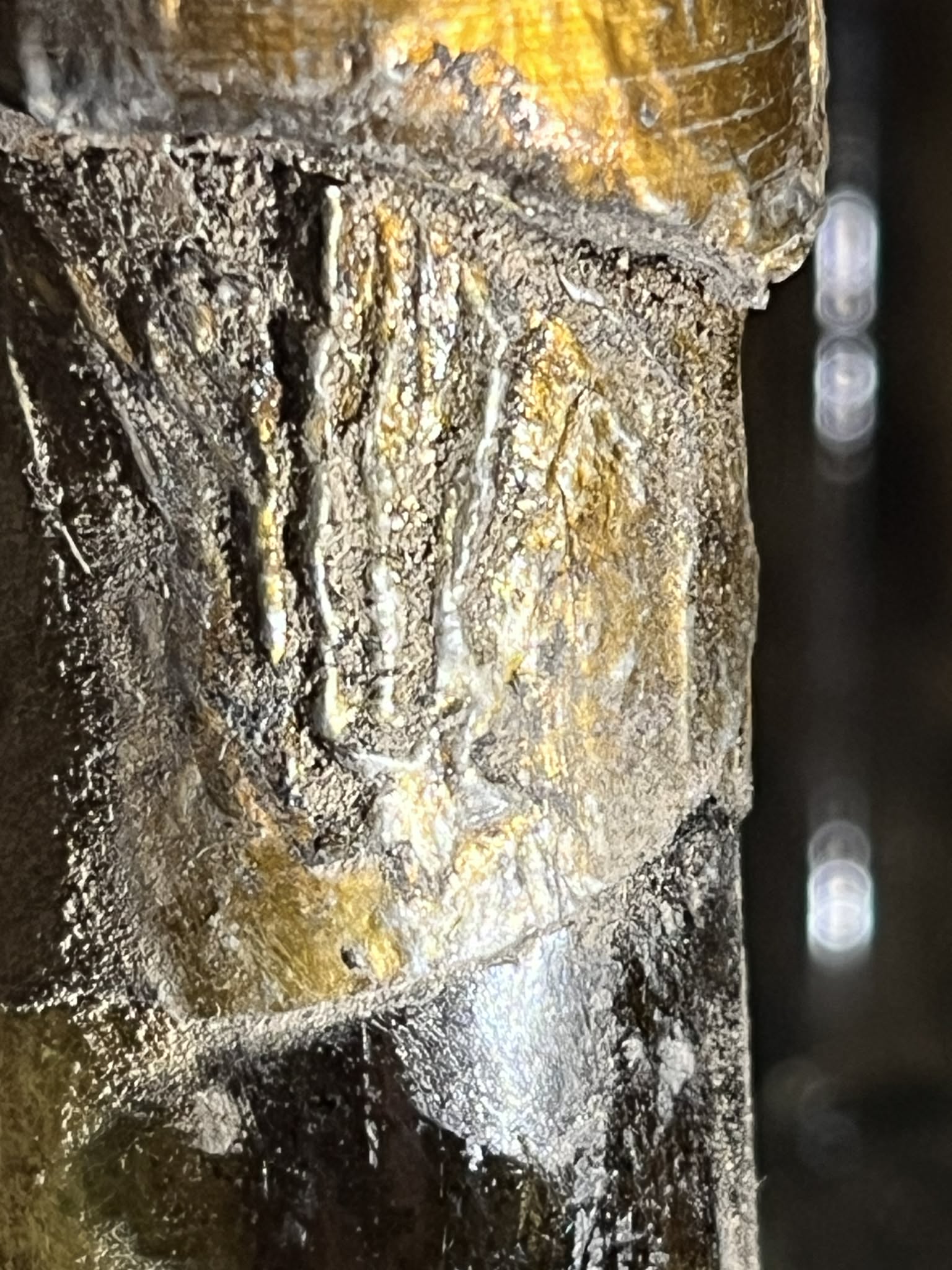 The falling star on the capsule side, second view