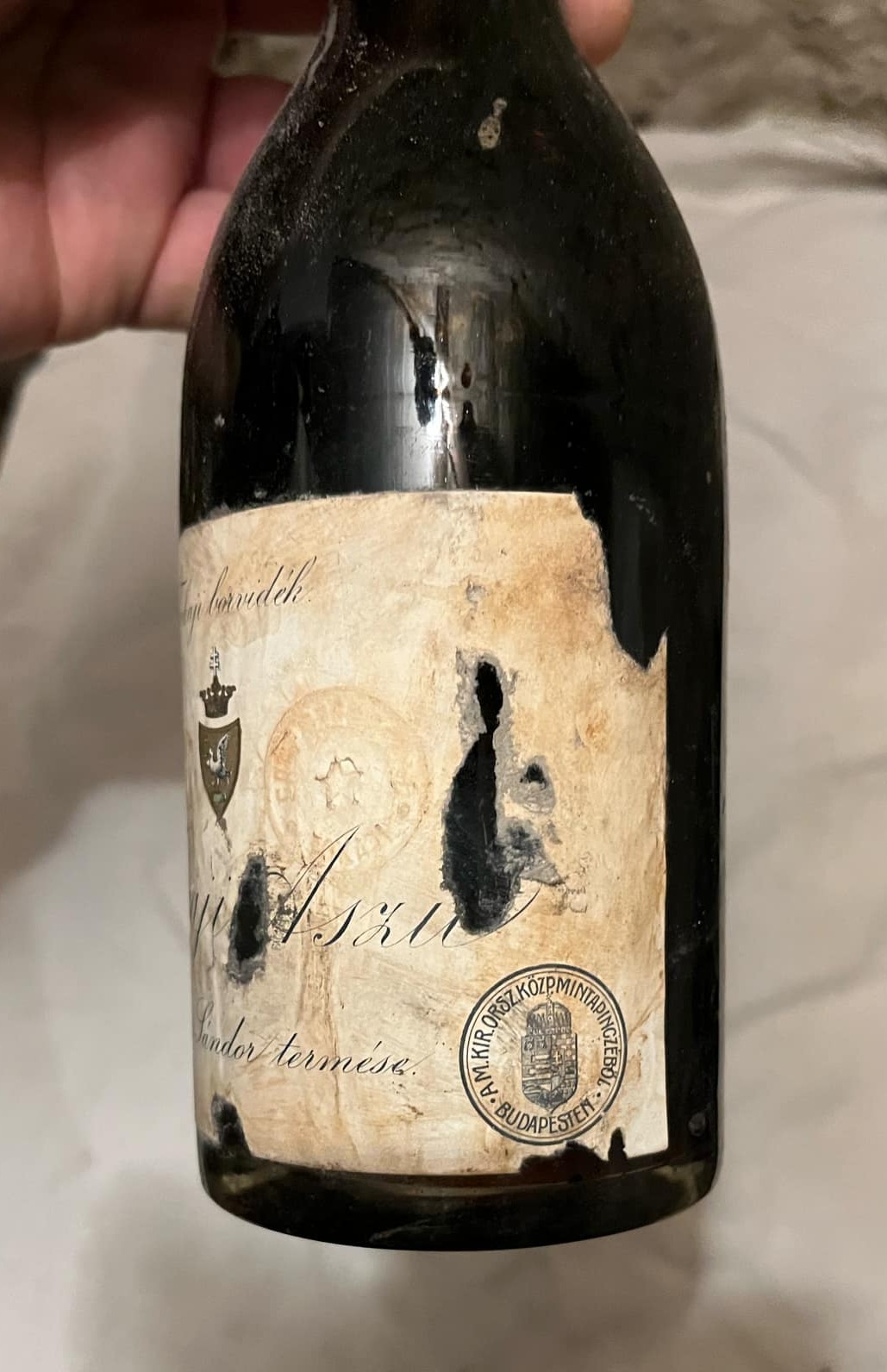 The neck held to the light: the fill level and the colour of the wine