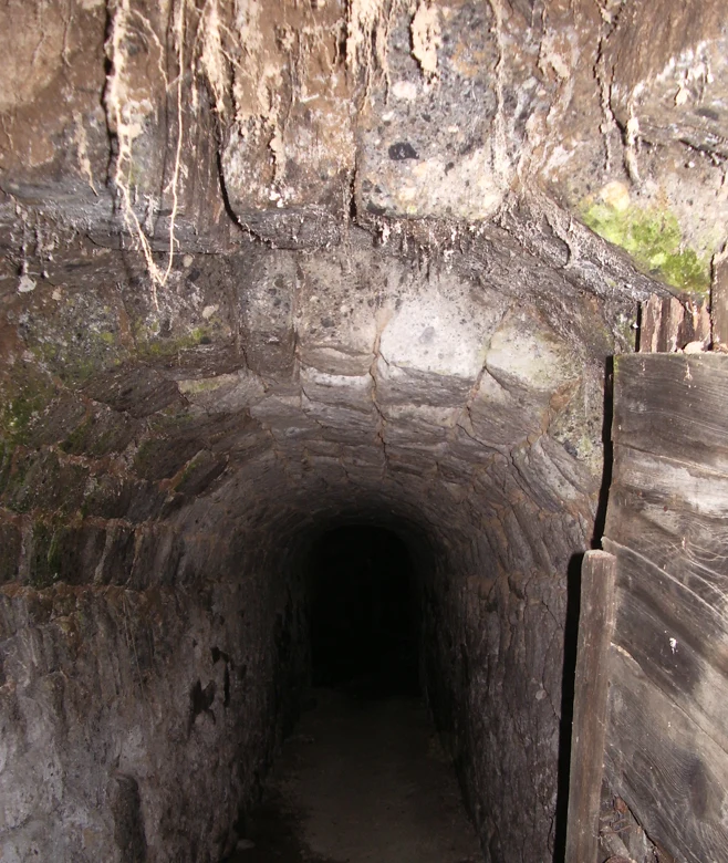 A narrow rock-cut cellar tunnel running back into the dark