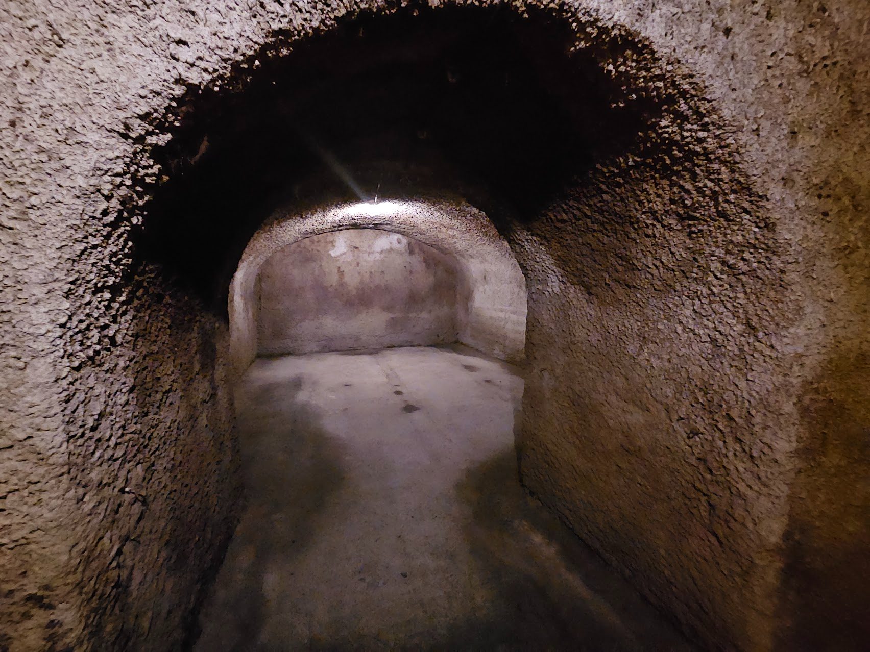 A vaulted cellar section, freshly entered