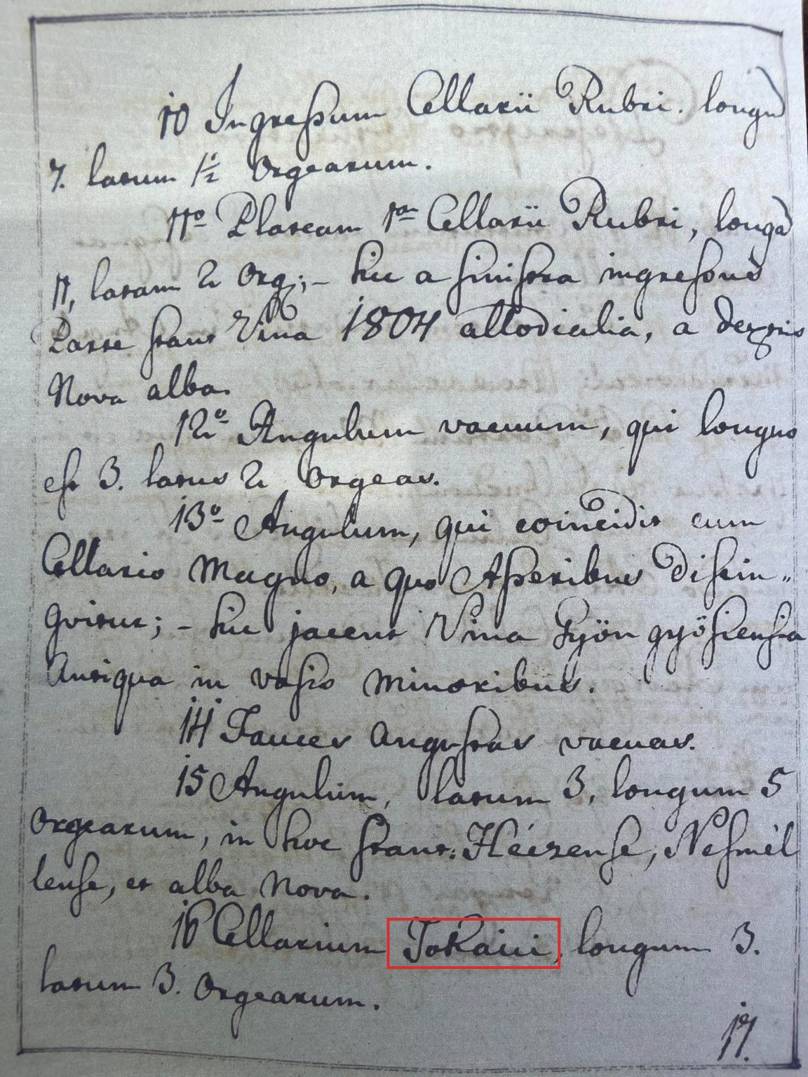 Page listing no. 16 Cellarium Tokaini, with the word Tokaini boxed in red