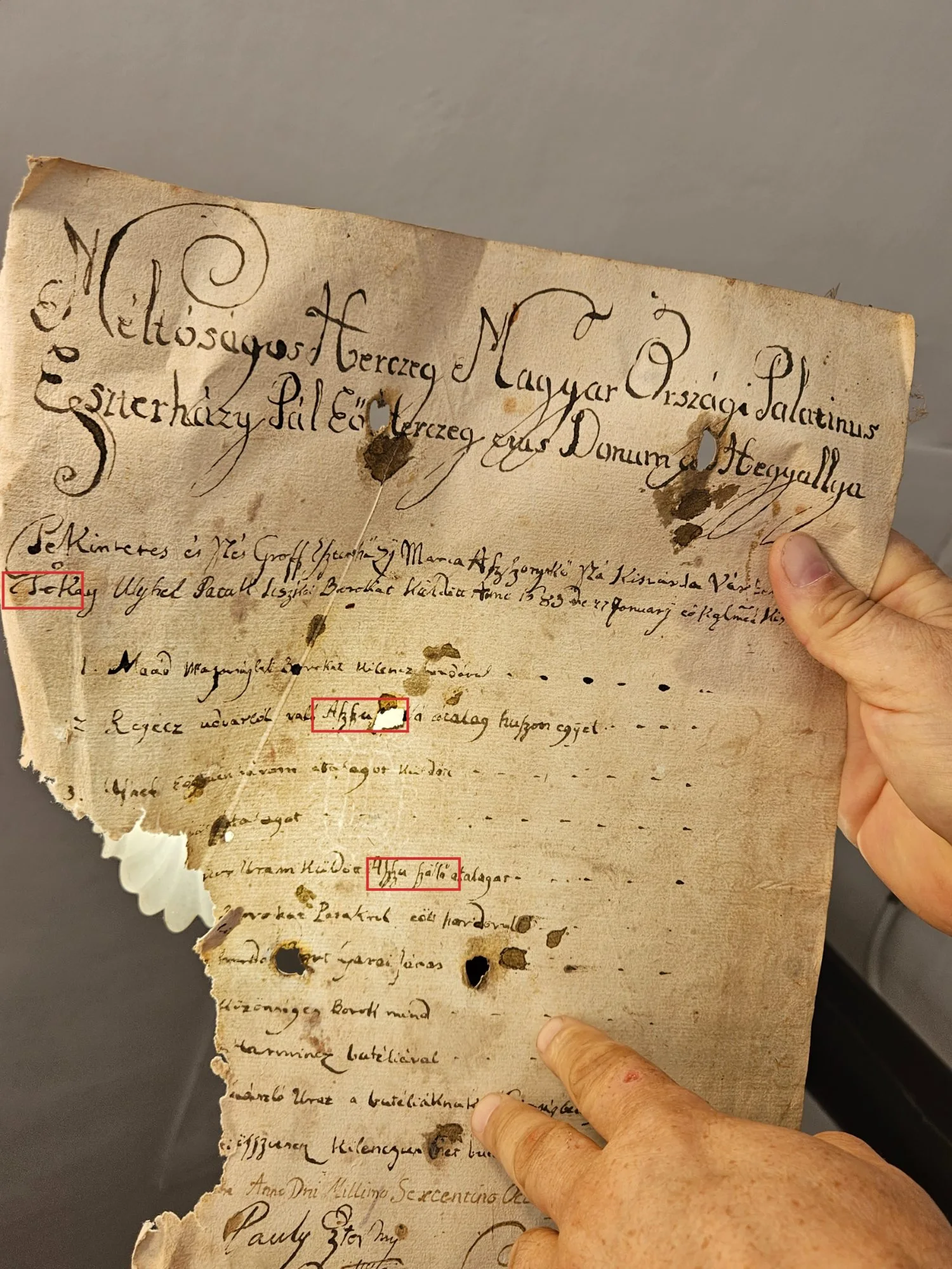 The recto of the 1683 shipment list, with Tokay in the heading and both mentions of aszú-szőlő boxed in red