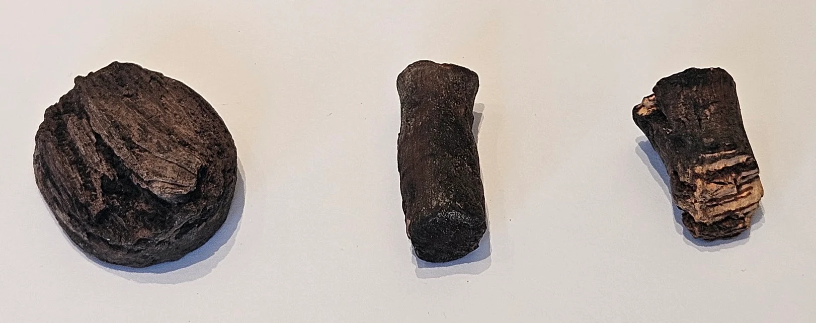 Three corks from broken Fukier bottles, dark and heavily degraded, photographed against a pale ground