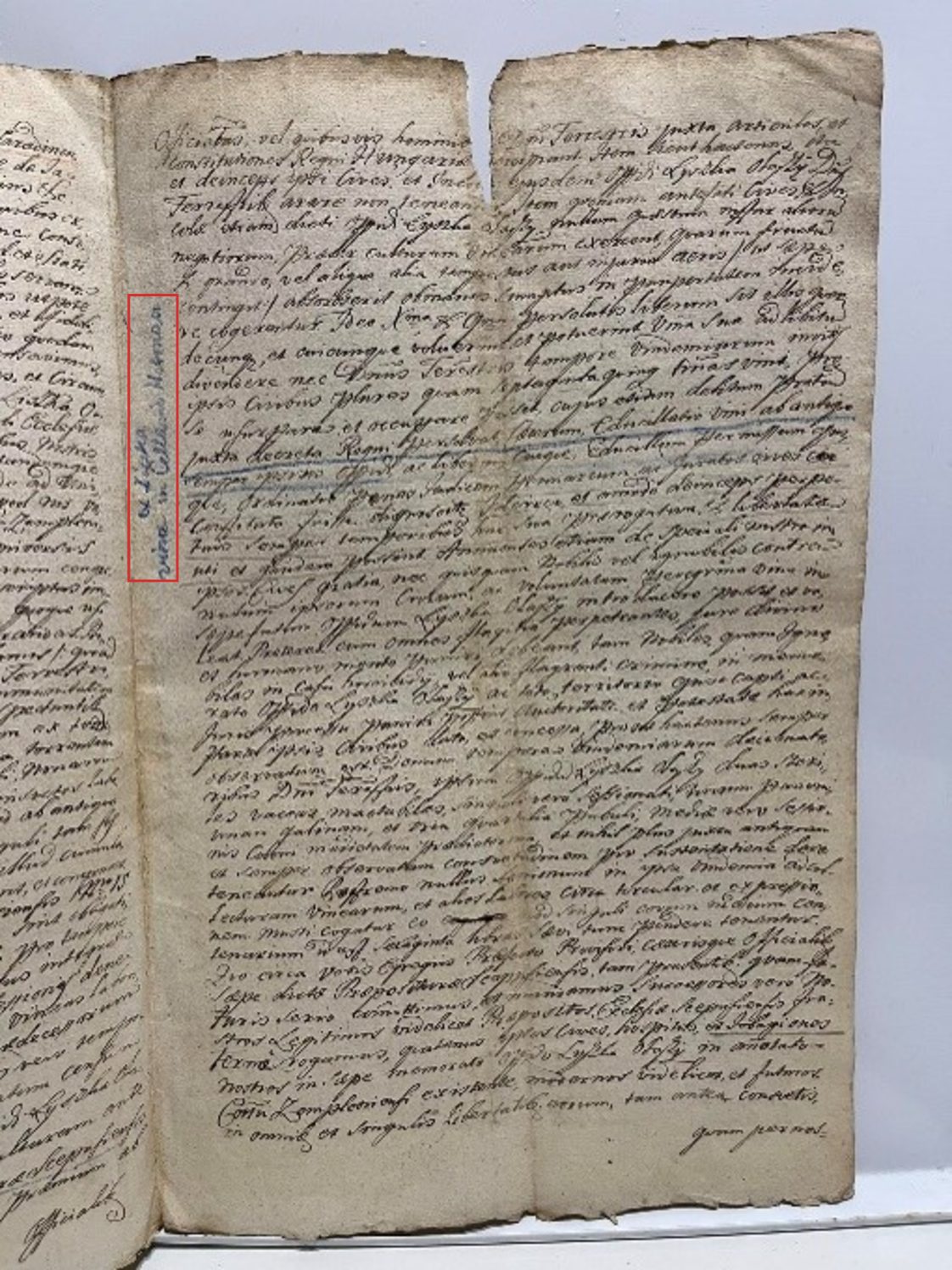 The page carrying the blue marginal note a Liszka, vina in Cellario Hetman, boxed in red