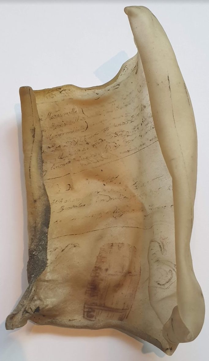 Animal-skin fragment, first sheet, curled at both edges