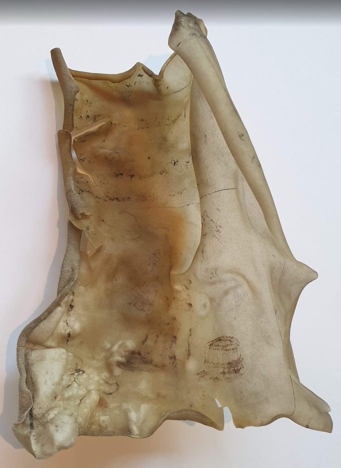 Animal-skin fragment, second sheet