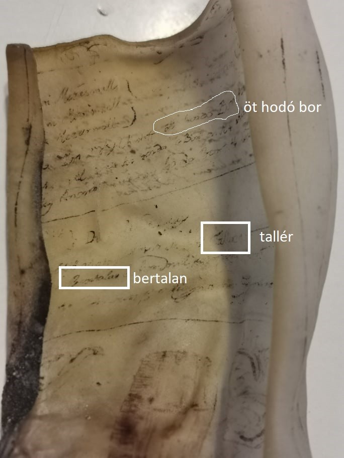 Fragment with three readings marked: öt hodó bor, tallér and bertalan
