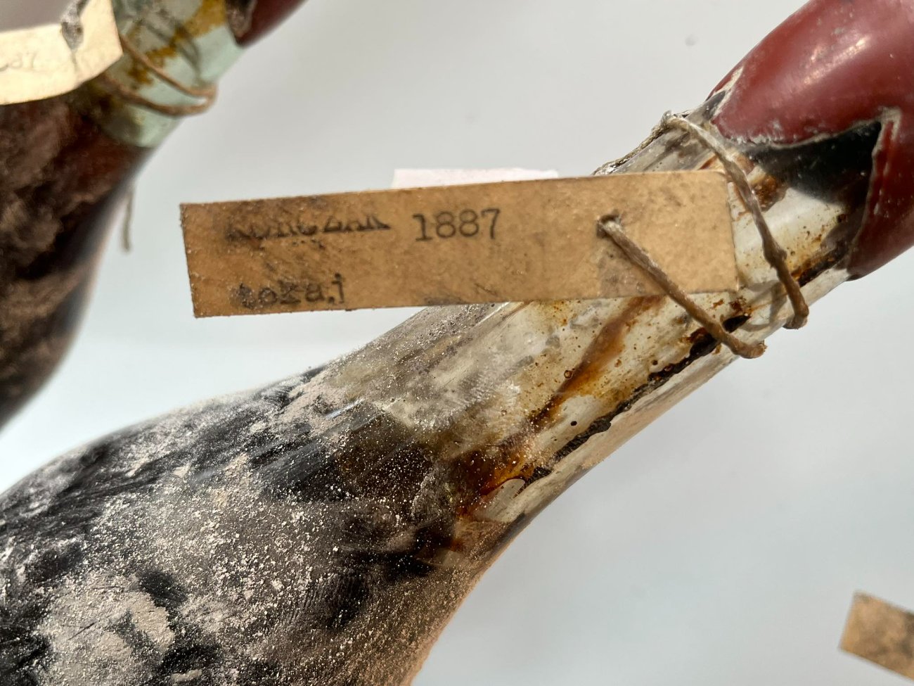 Cellar tag reading 1887, tokaj, tied to a sealed bottle neck