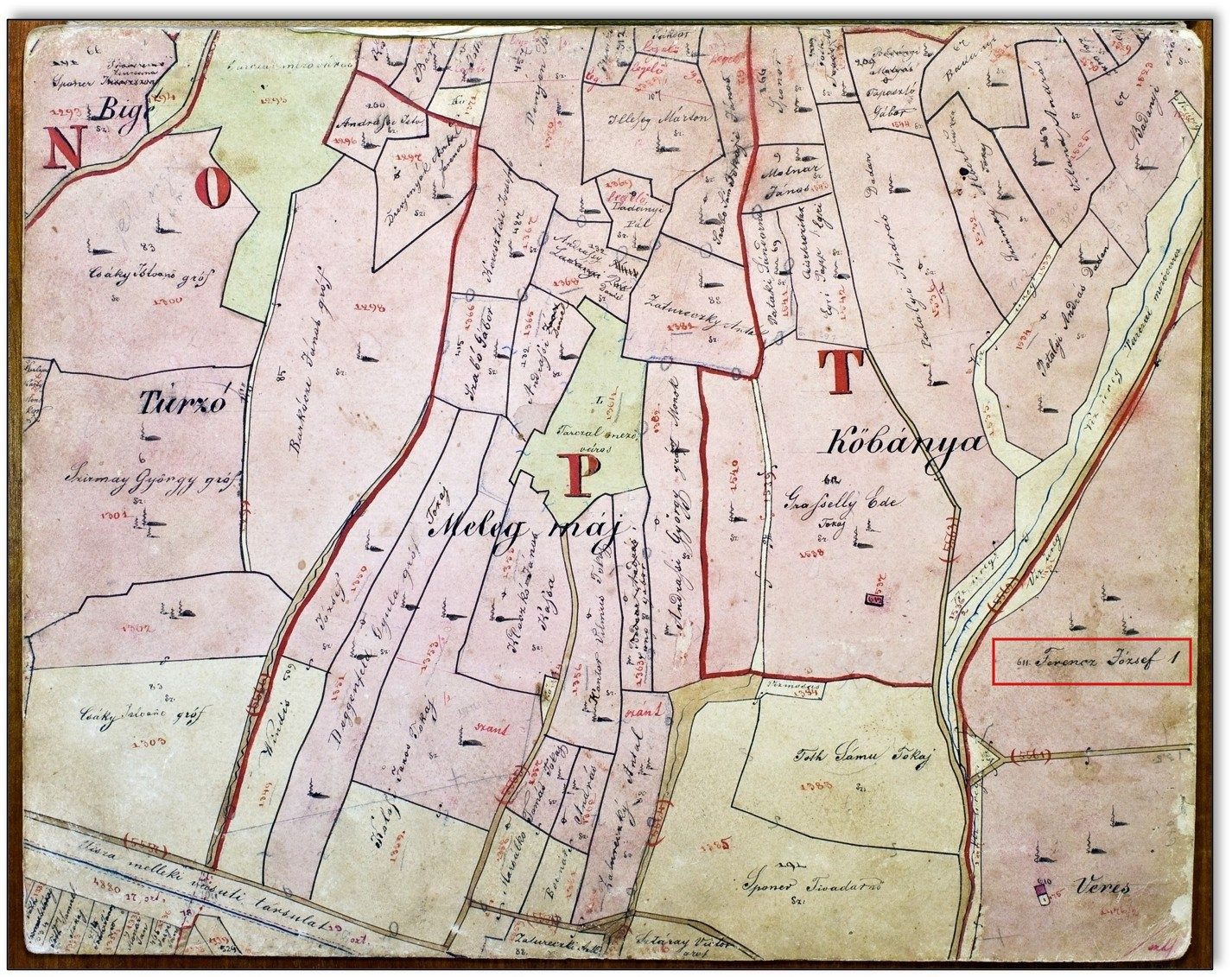 Imperial ownership visible in the vineyard maps: the parcel inscribed Ferencz József 1, framed in red