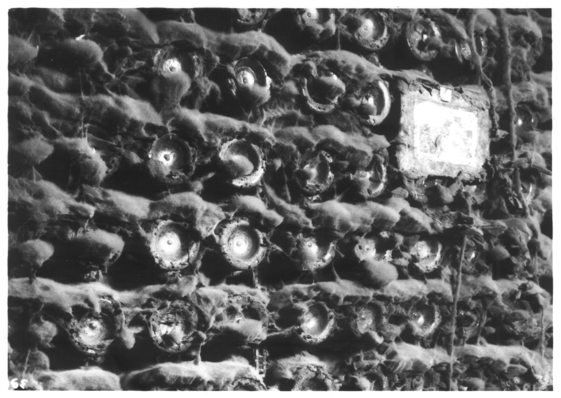 The bottle wall