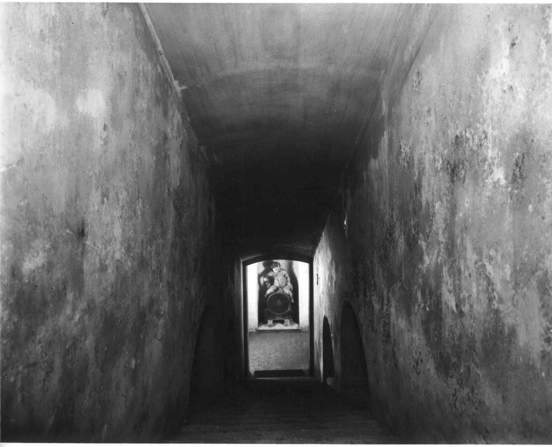 The cellar stairway